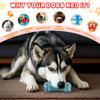 Squeaky Dog Chew Toy – Fun & Cute Interactive Squeaker Toy for Dogs, Reduces Boredom & Anxiety, Engages Chewing Instinct, Durable Dog Play Toy for Small Medium Large Dogs, Multiple Colors incl. Glow-in-Dark